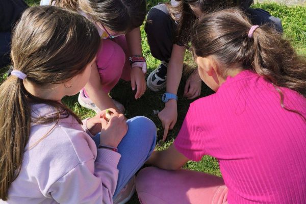 654414826_1592943369507199_3726448668409015393_n