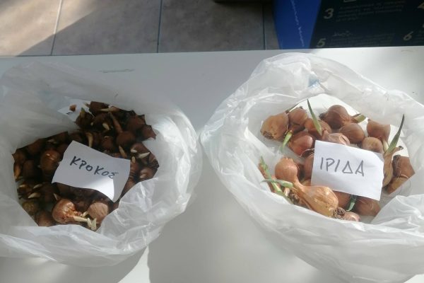 654952798_1592942046173998_4323361354226751915_n