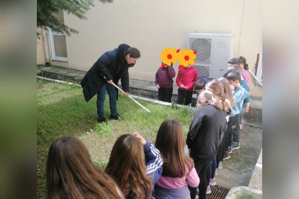 657054943_1592942582840611_6344233467730261269_n