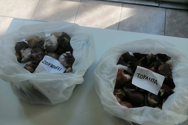 657384999_1592941906174012_4036636593159345571_n