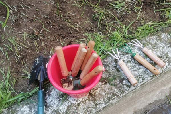 657562875_1592941782840691_7613370996311743290_n