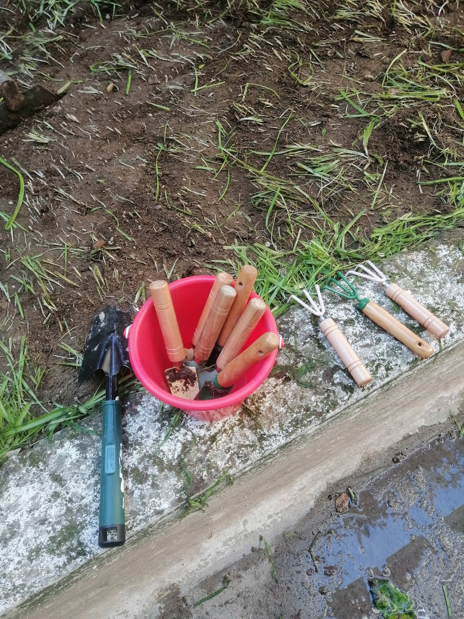 Δράσεις Συλλόγου Γονέων & Κηδεμόνων