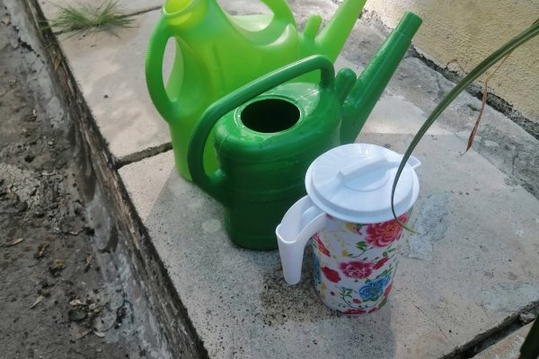 658898100_1592942196173983_3437063257706728502_n